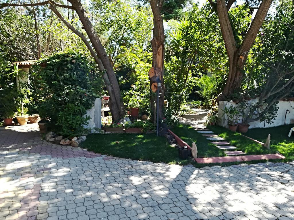 B&B Domo De Pedra Тоттубелла Экстерьер фото